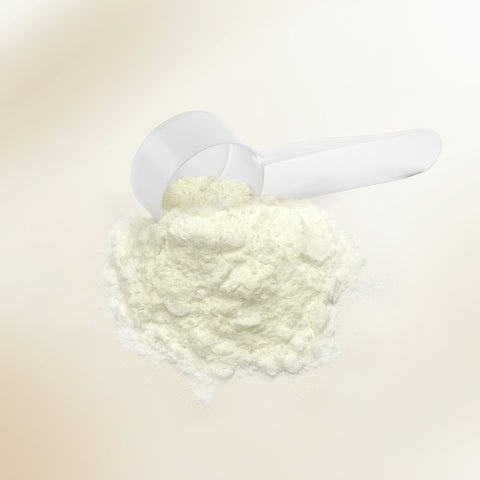 Bovine Colostrum Powder